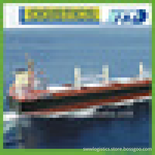 DDP/DDU sea shipping logistics service from China Shenzhen to Alexandria